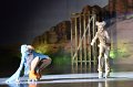 Lionking 0144